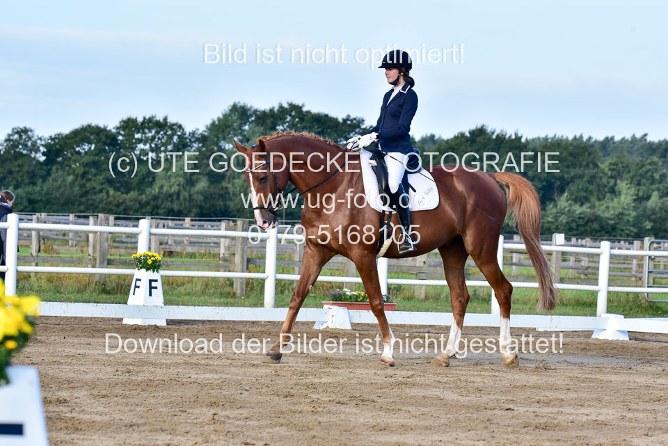 060920-Dressur-WB-KL-E_202.jpg