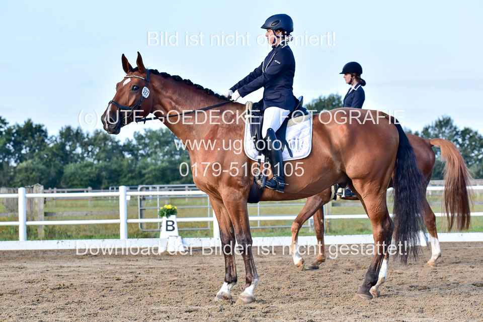 060920-Dressur-WB-KL-E_203.jpg