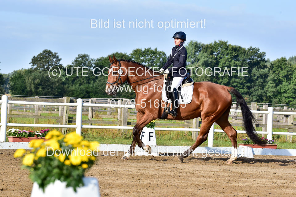 060920-Dressur-WB-KL-E_209.jpg