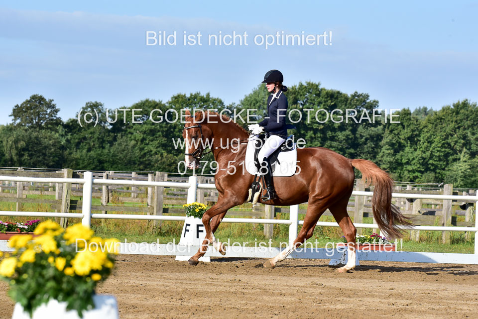 060920-Dressur-WB-KL-E_211.jpg