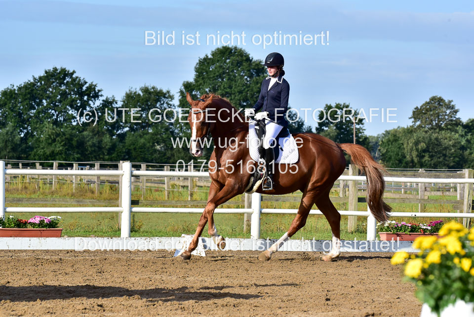 060920-Dressur-WB-KL-E_212.jpg
