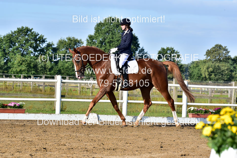 060920-Dressur-WB-KL-E_214.jpg