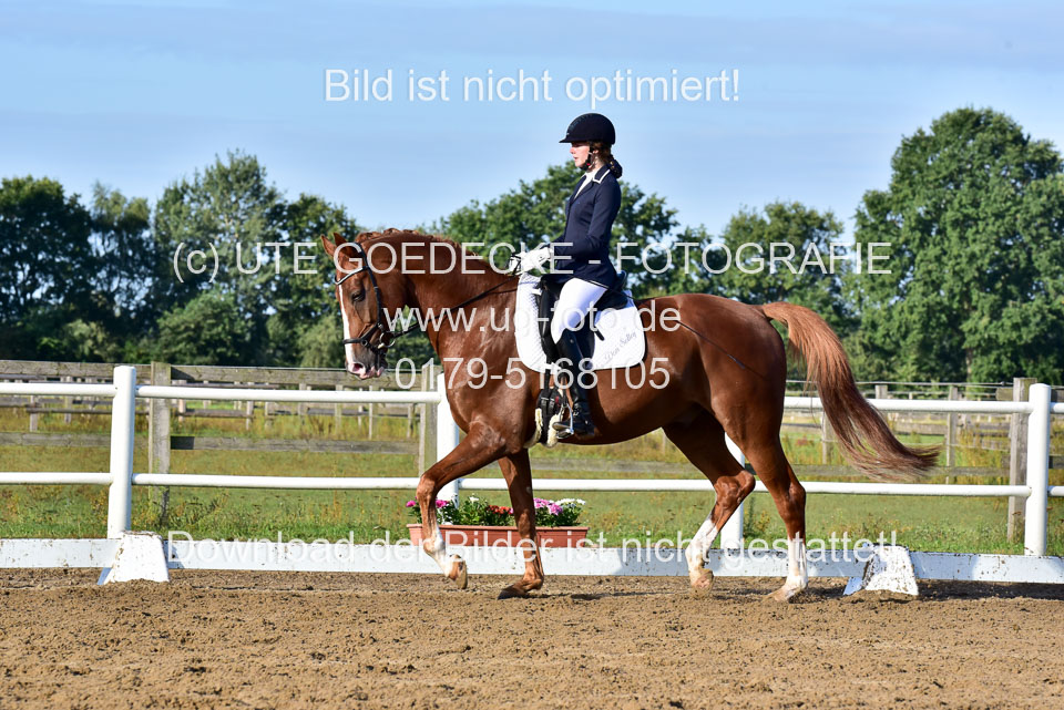 060920-Dressur-WB-KL-E_215.jpg