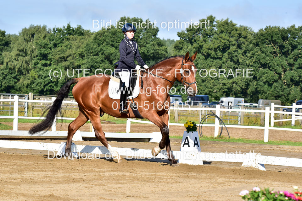 060920-Dressur-WB-KL-E_217.jpg