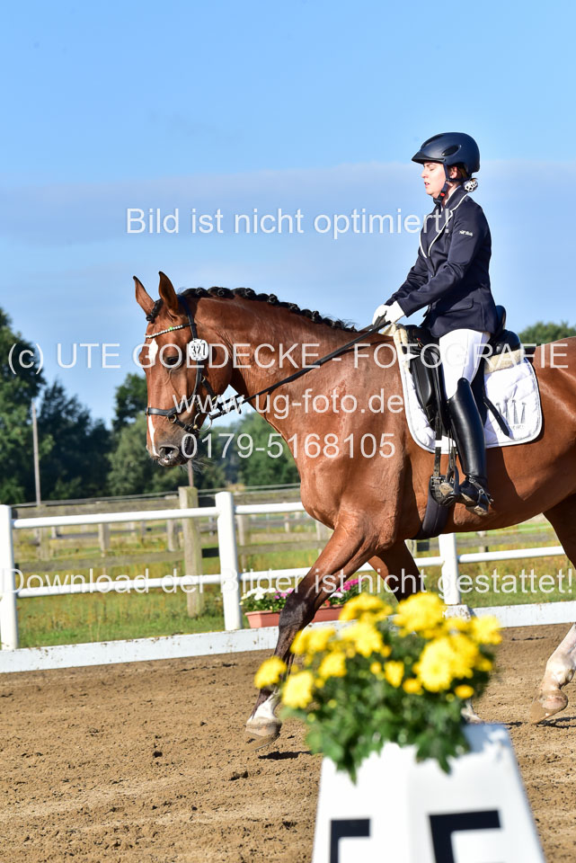 060920-Dressur-WB-KL-E_219.jpg