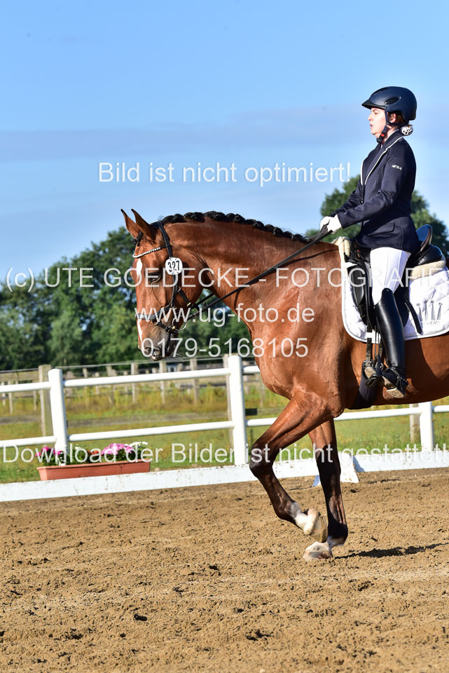060920-Dressur-WB-KL-E_220.jpg