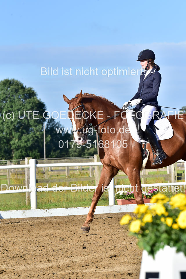 060920-Dressur-WB-KL-E_221.jpg