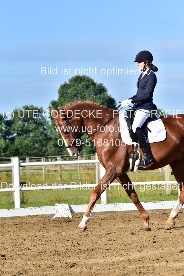 060920-Dressur-WB-KL-E_222.jpg