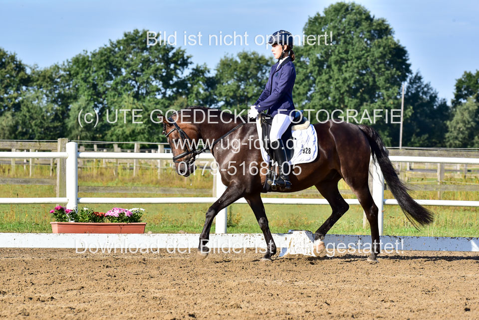 060920-Dressur-WB-KL-E_225.jpg