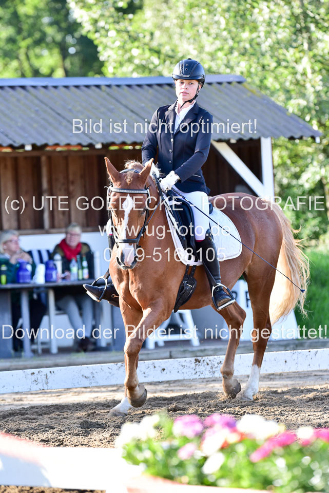 060920-Dressur-WB-KL-E_228.jpg
