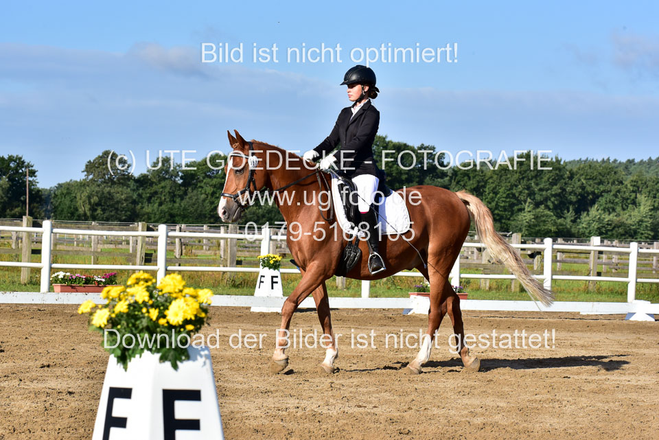 060920-Dressur-WB-KL-E_230.jpg