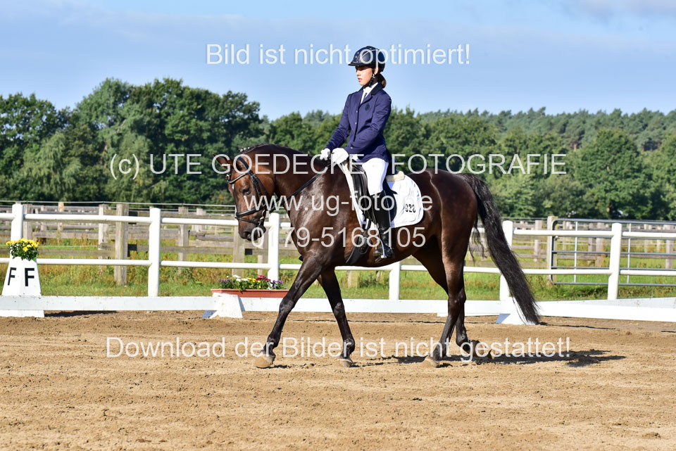060920-Dressur-WB-KL-E_231.jpg