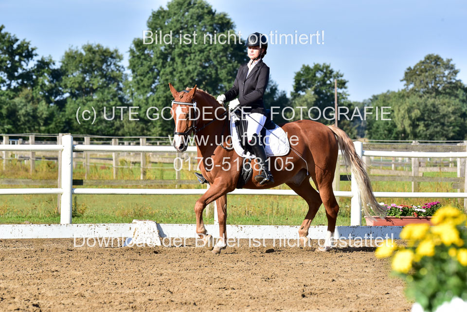 060920-Dressur-WB-KL-E_238.jpg
