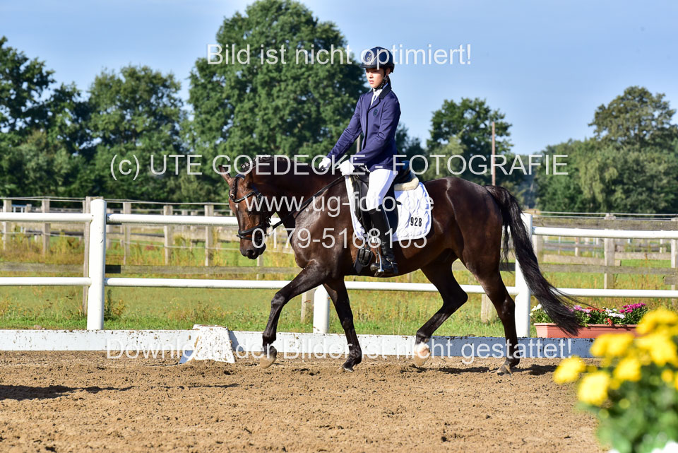 060920-Dressur-WB-KL-E_239.jpg