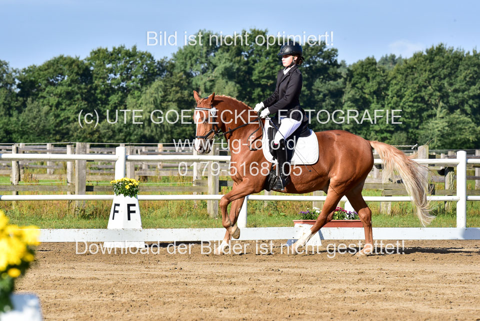 060920-Dressur-WB-KL-E_240.jpg