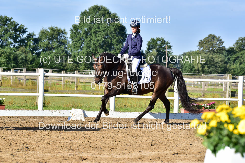 060920-Dressur-WB-KL-E_241.jpg