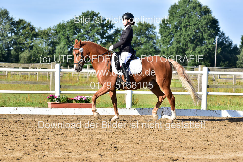 060920-Dressur-WB-KL-E_242.jpg