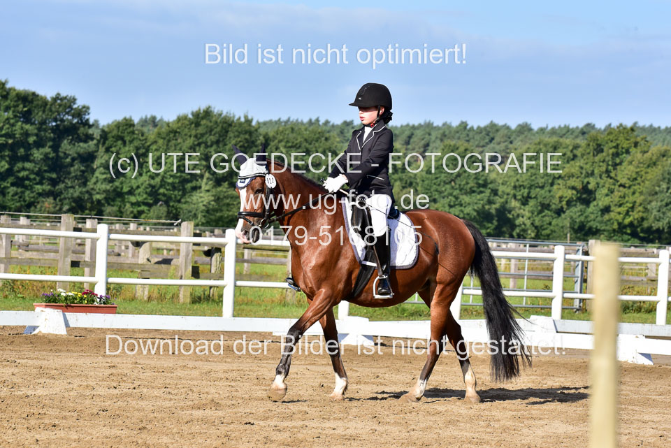 060920-Dressur-WB-KL-E_243.jpg