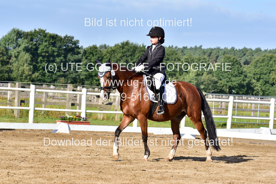 060920-Dressur-WB-KL-E_244.jpg