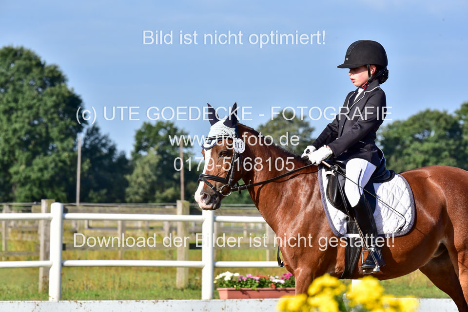 060920-Dressur-WB-KL-E_245.jpg