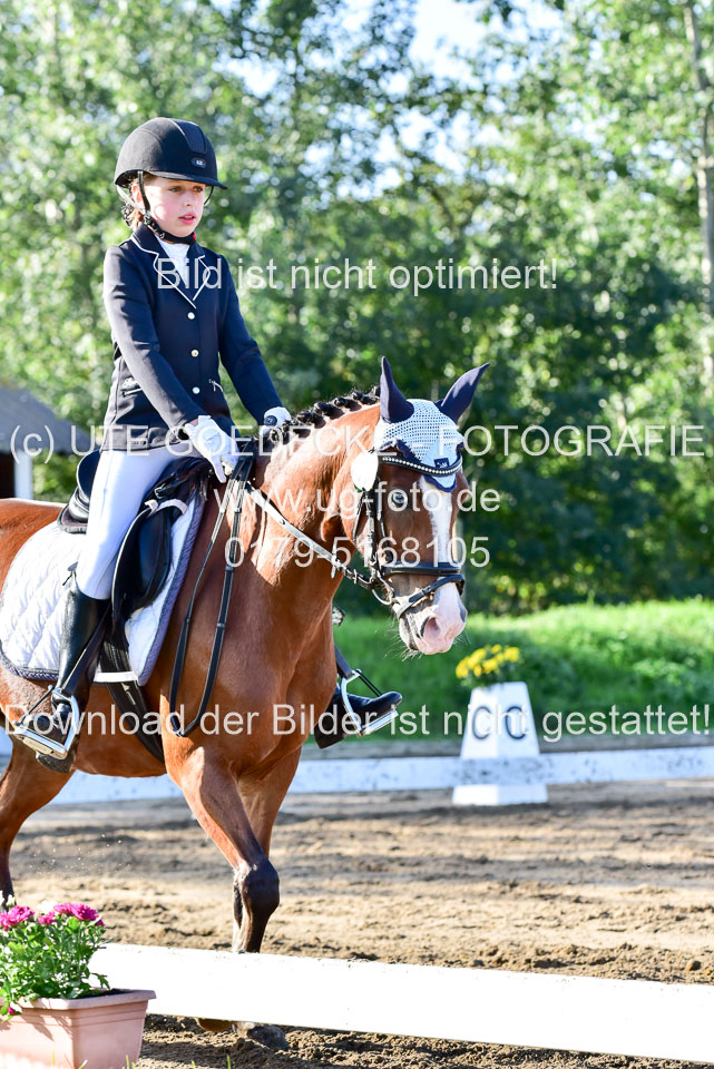 060920-Dressur-WB-KL-E_247.jpg