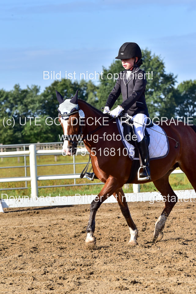 060920-Dressur-WB-KL-E_248.jpg