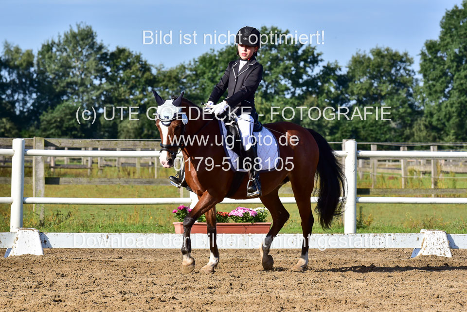 060920-Dressur-WB-KL-E_249.jpg