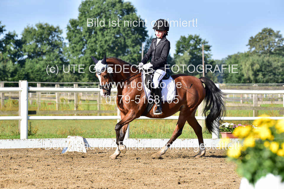060920-Dressur-WB-KL-E_250.jpg