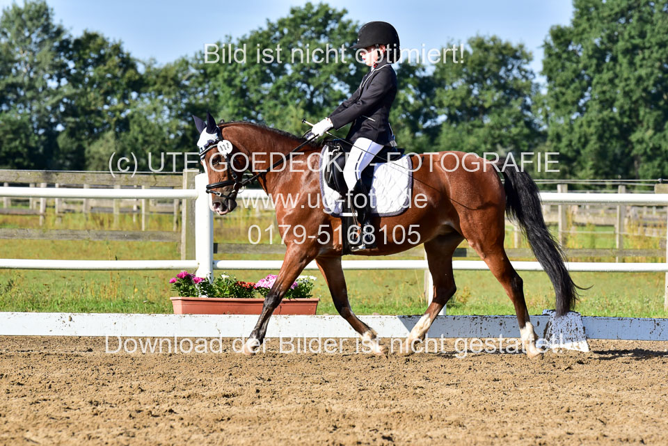 060920-Dressur-WB-KL-E_252.jpg