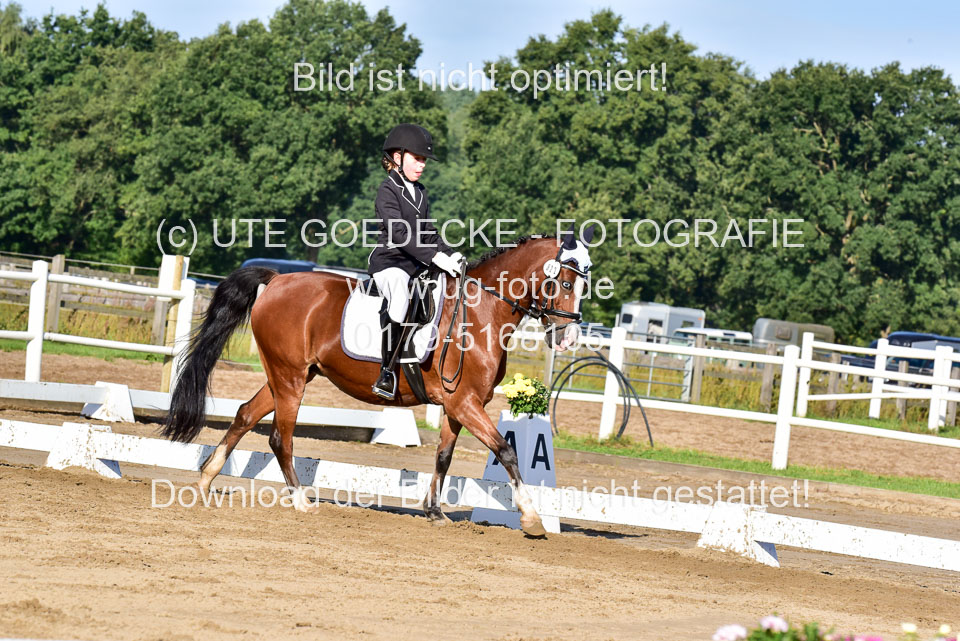 060920-Dressur-WB-KL-E_254.jpg