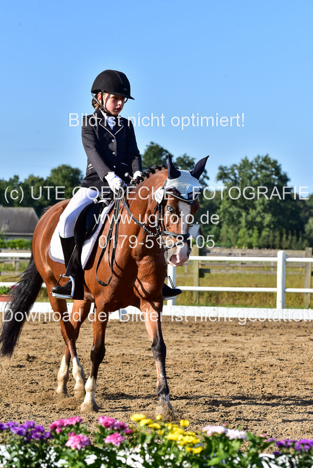 060920-Dressur-WB-KL-E_255.jpg