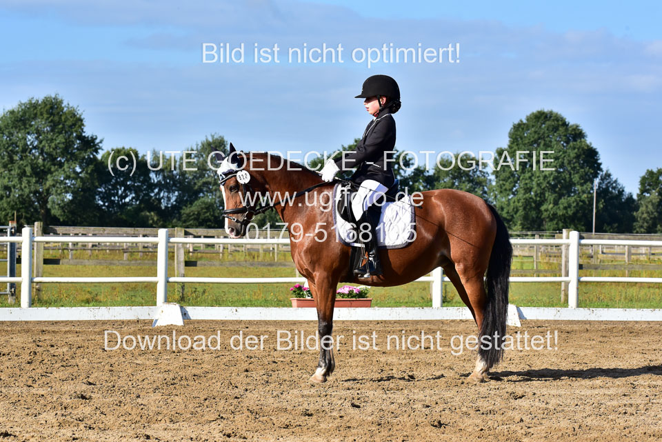 060920-Dressur-WB-KL-E_256.jpg