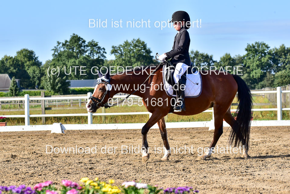 060920-Dressur-WB-KL-E_257.jpg