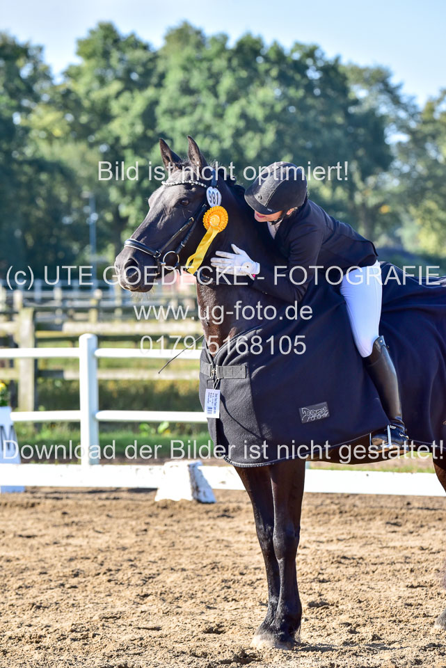 060920-Dressur-WB-KL-E_260.jpg