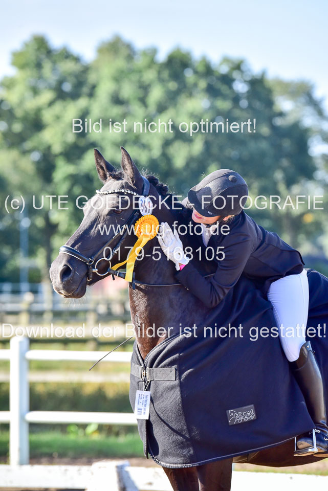 060920-Dressur-WB-KL-E_262.jpg