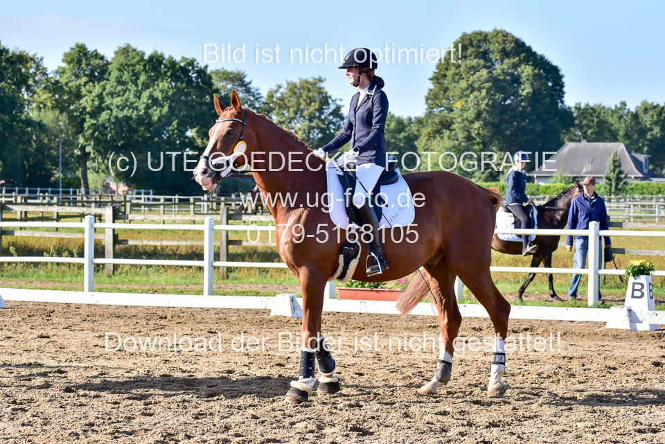 060920-Dressur-WB-KL-E_266.jpg