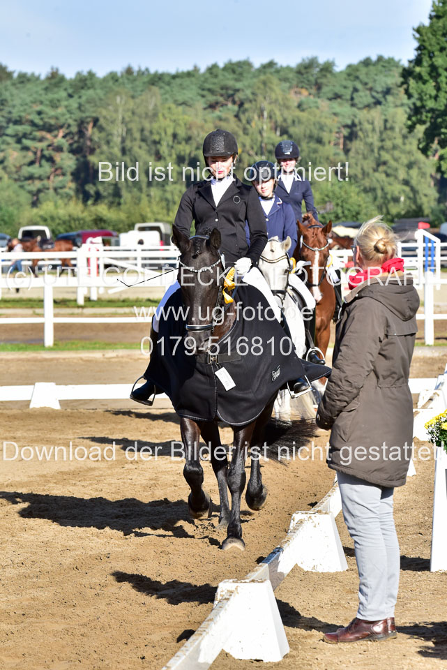 060920-Dressur-WB-KL-E_281.jpg