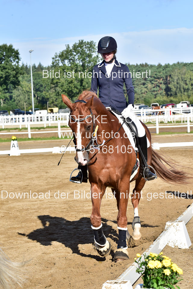 060920-Dressur-WB-KL-E_287.jpg