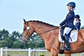 060920-Dressur-WB-KL-E_204.jpg