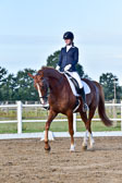 060920-Dressur-WB-KL-E_206.jpg