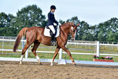 060920-Dressur-WB-KL-E_208.jpg