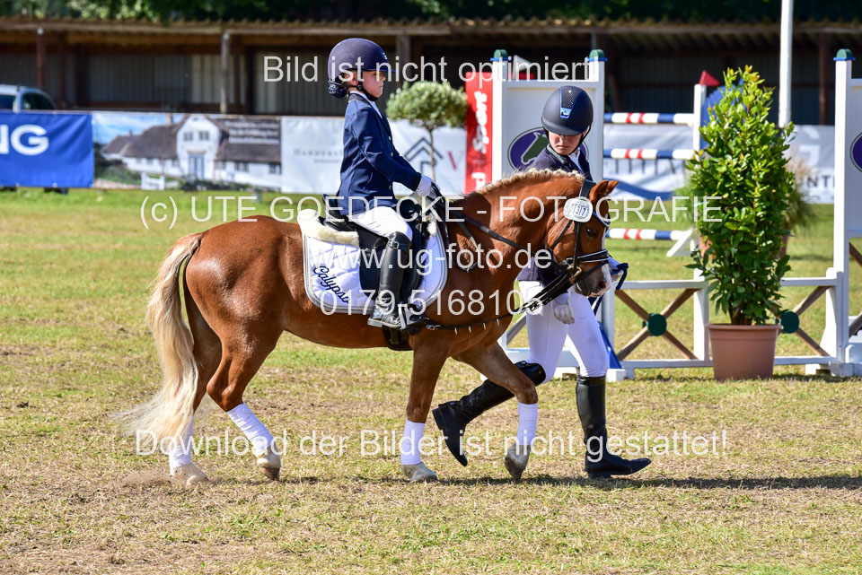 060920---Führzügel-WB-1-Abt_065.jpg