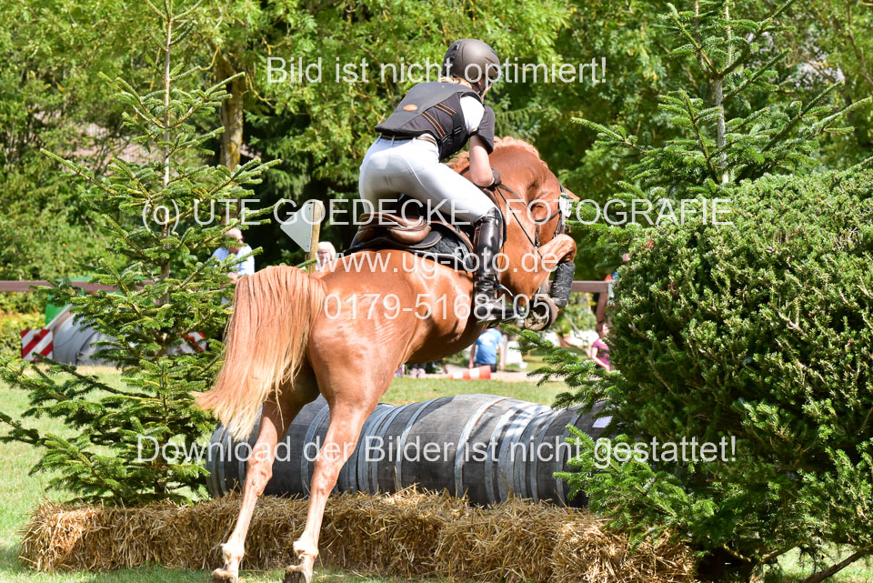 220820---Gelände-(2).jpg