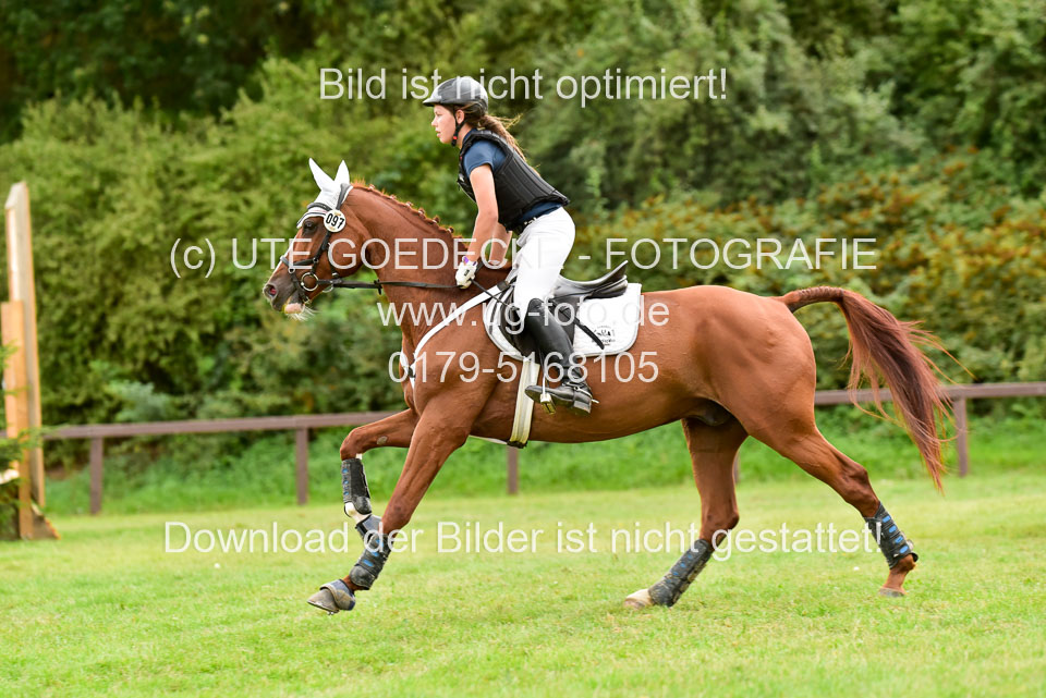 220820---Gelände-(786).jpg