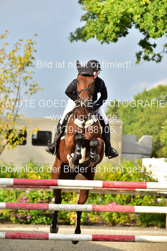 300920--M-S-Amateure-_03.jpg