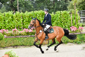 290720--Springen-Kl-SDSC_0544_.jpg