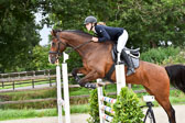 Prfg 15 Springen KL L Amateure