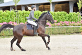 Prfg 15 Springen KL L Amateure