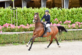 290720---Springen-Kl-L-Amateure_22.jpg