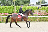 290720---Springen-Kl-L-Amateure_35.jpg